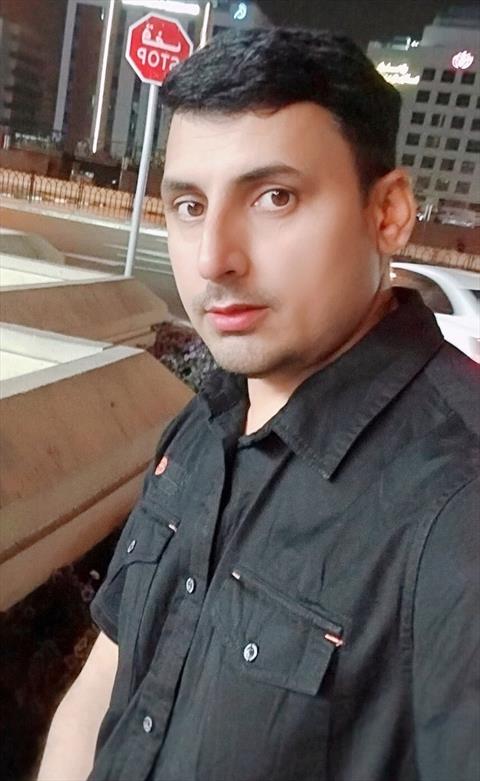 saifi