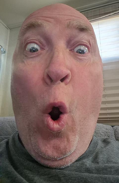 Itsthegoose