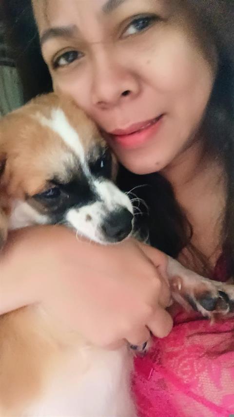 BamGee