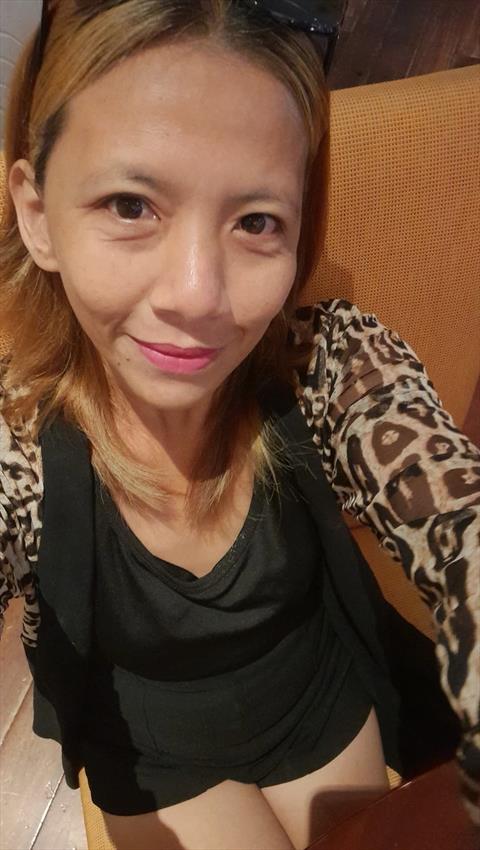 yolly